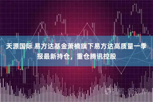 天源国际 易方达基金萧楠旗下易方达高质量一季报最新持仓，重仓腾讯控股