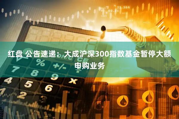 红盘 公告速递:大成沪深300指数基金暂停大额申购业务