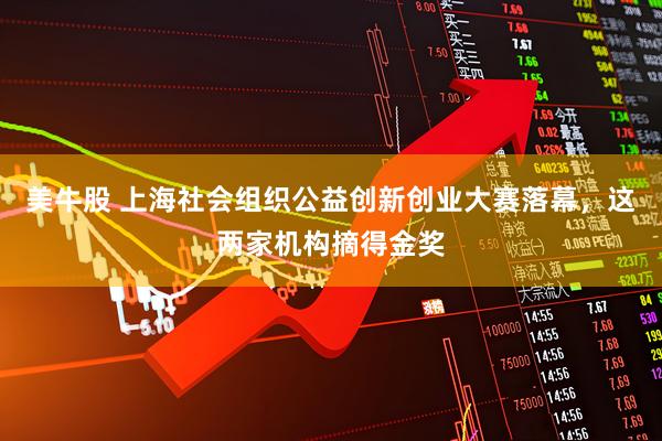 美牛股 上海社会组织公益创新创业大赛落幕,这两家机构摘得金奖