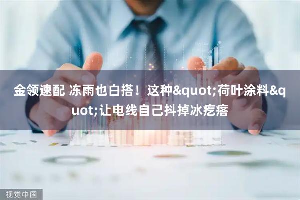 金领速配 冻雨也白搭！这种"荷叶涂料"让电线自己抖掉冰疙瘩